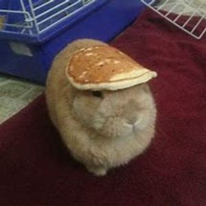 Meet your Posher, Caleb